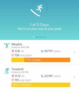 51122997_289090241779793_8901880222782062592_n